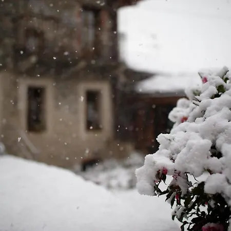 La Maison Des Vignerons D'hotes Farm stay *