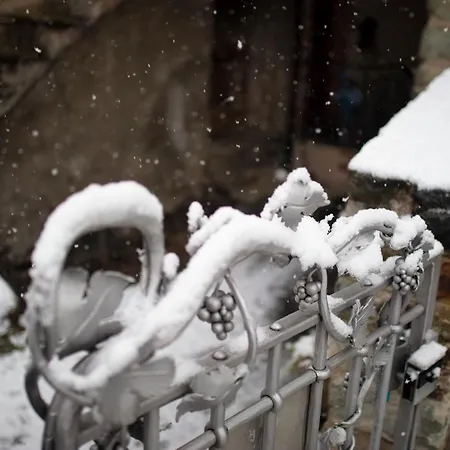Lantgård La Maison Des Vignerons D'hotes Donnaz