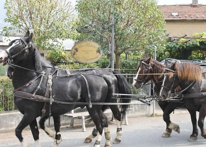 Vakantieboerderij La Maison Des Vignerons D'hotes Donnaz